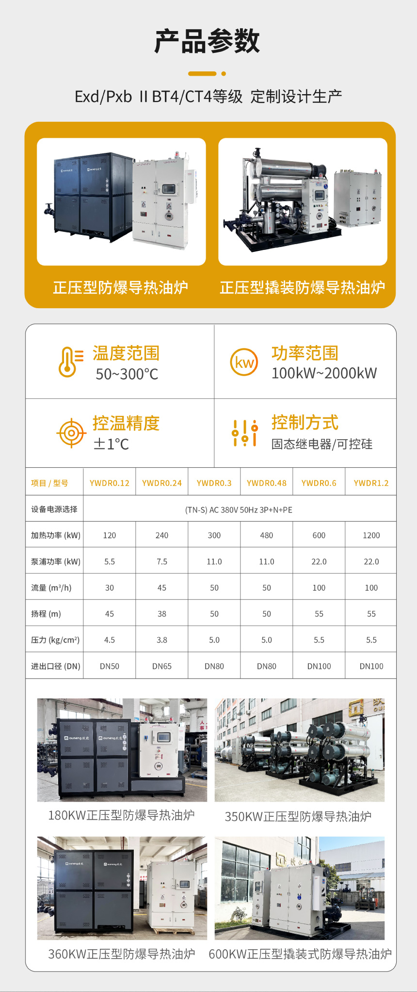 电加热防爆导热油设备